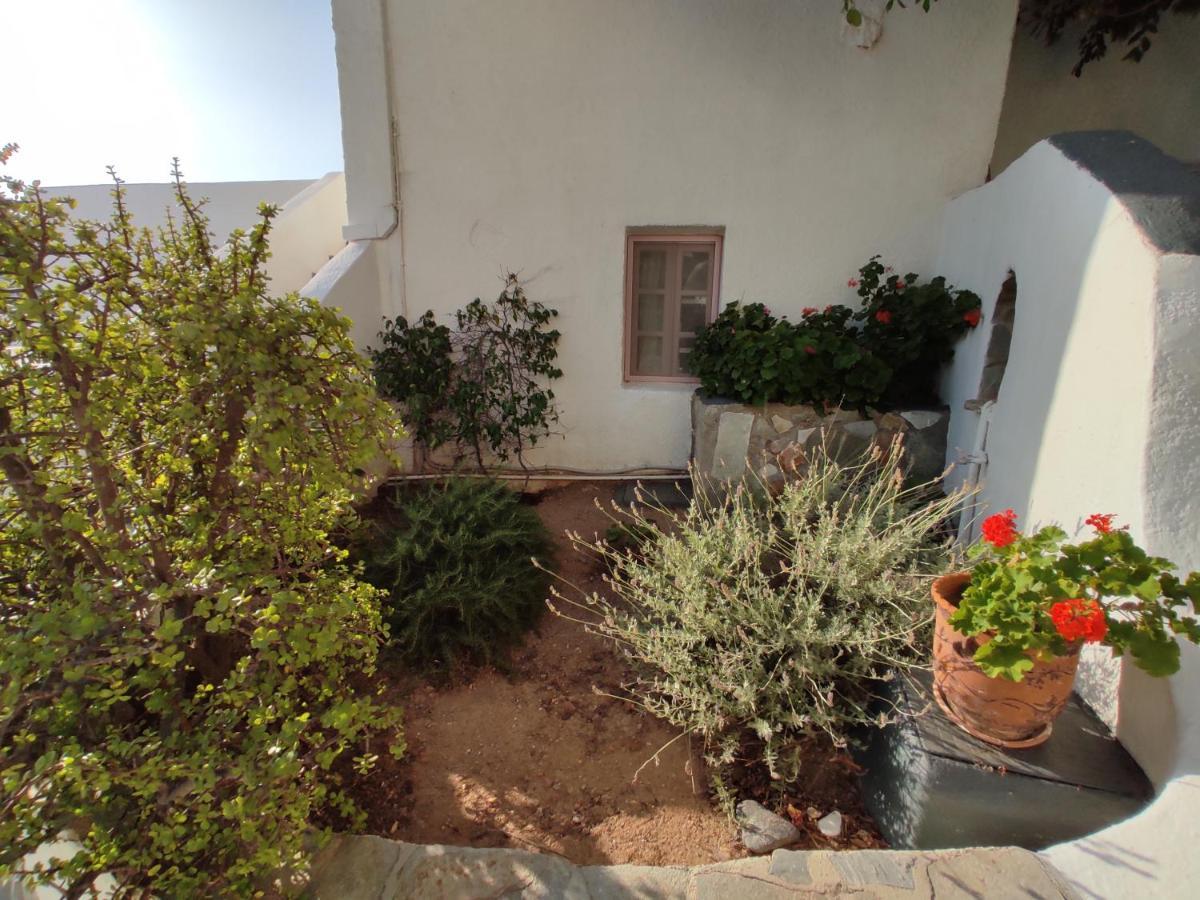 Porto Sikinos Hotel Alopronia Екстериор снимка
